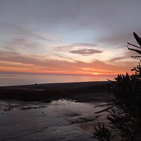 아파트 To Kalivi *