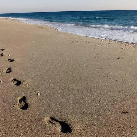 To Kalivi 코레프토