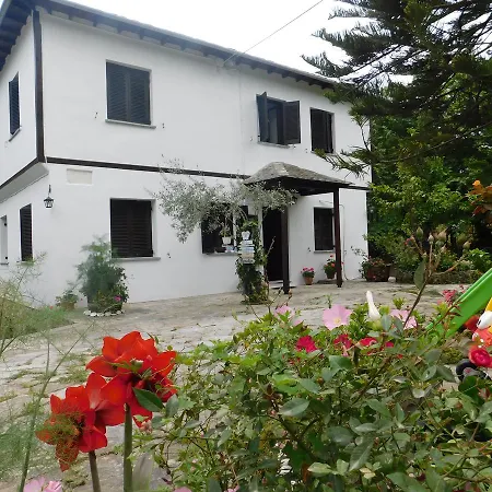 To Kalivi * 霍里顿