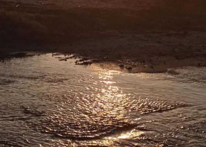 To Kalivi * חורפטו