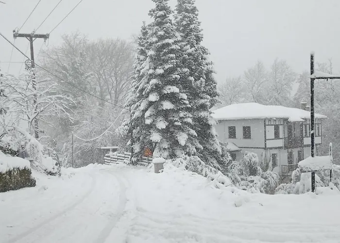 To Kalivi דירה *