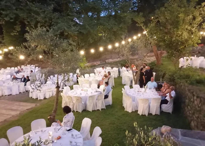 To Kalivi * חורפטו